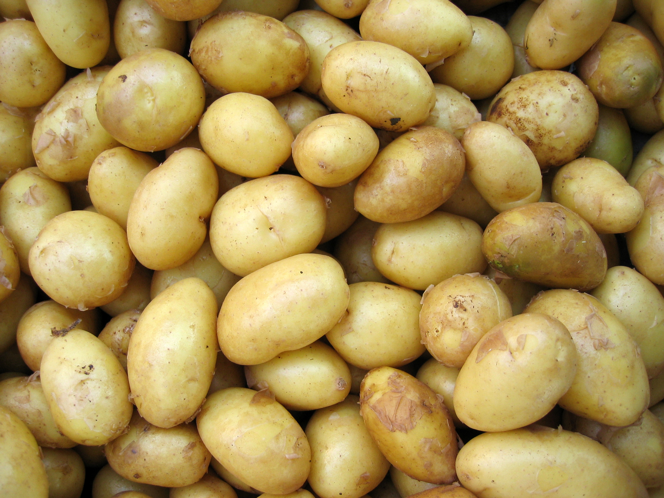 Овощи Таиланда фото картофель