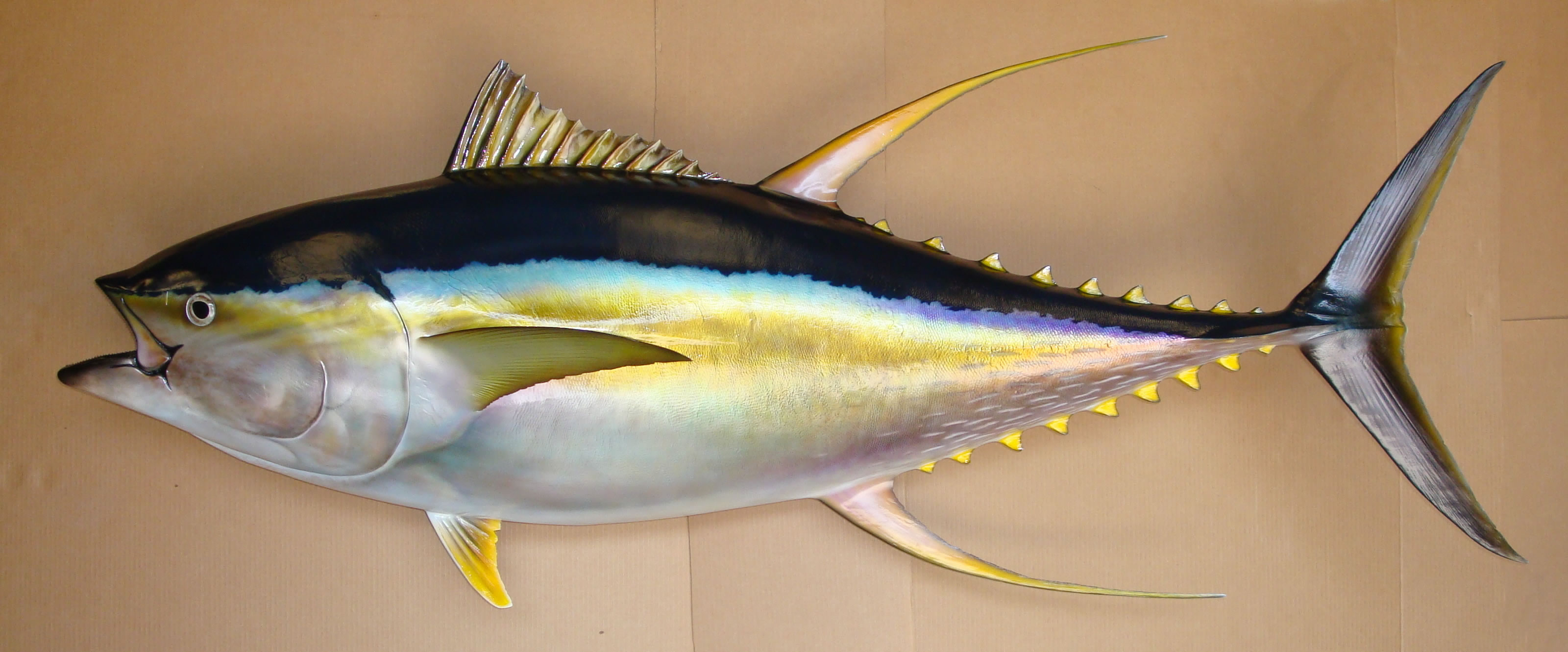 Рыбы Таиланда фото желтоперый тунец