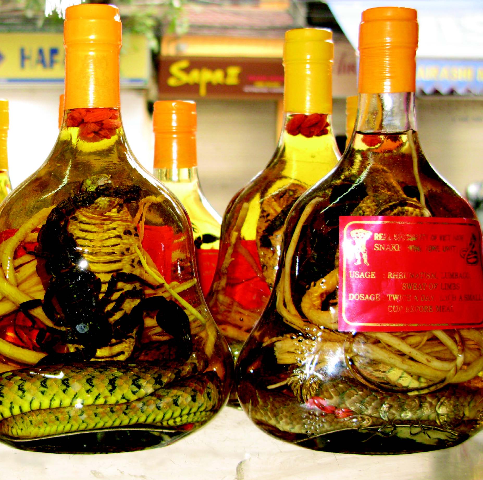 Фотография сувениры из Таиланда водка со змеей