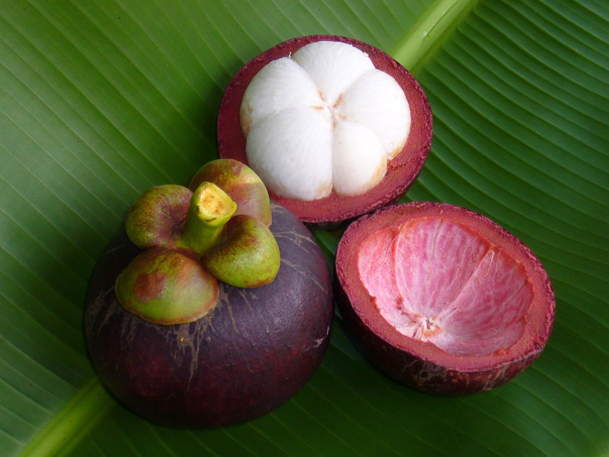 Мангостин фото экзотические фрукты Таиланда